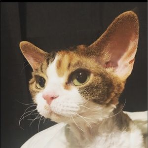 Meet your Posher, Chloe